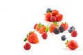 Composition of various berries