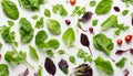 Composition with various salad leaves on white background Royalty Free Stock Photo
