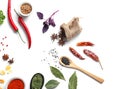 Composition with various spices on white background Royalty Free Stock Photo