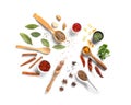 Composition with various spices on white background Royalty Free Stock Photo