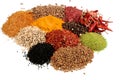 Composition of various spices on white background Royalty Free Stock Photo