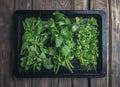 composition with various spices on a wooden table. Top view. Flat lay. Basil, cilantro, dill, parsley and celery Royalty Free Stock Photo