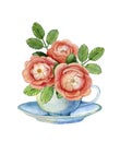 Composition with vintage porcelain cup and wild roses.