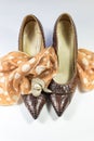 Composition with vintage women`s snakeskin shoes, polka dot scarf, and rhinestone calla lily brooch on whit