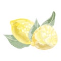 composition of watercolor cut lemon and whole lemon