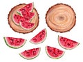 Composition with watermelon slices. Set of wooden stumps, watermelon slices. View from above. Collection of fruits. Hand