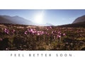 Composition of well wishes text with flowers in meadow and mountain landscape