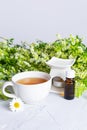 Composition of a white cup of tea, an aroma lamp and bottle of aromatic oil on a background of fresh wildflowers. The concept of