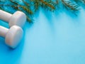 Composition with white dumbbells and Christmas tree on blue background.