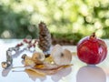 Composition of white mushrooms and red pomegranate with pine cone and autumn leaves on green bokeh background Royalty Free Stock Photo