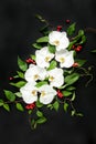 Composition of white orchids and green leaves on a black background. Flat lay, top view. Frame of flowers. Floral Royalty Free Stock Photo