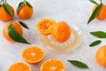 Composition of Whole and Cut Clementines with Leaves on Citrus Juicer and Background