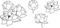 Composition with wind lotus flowers and buds. hand drawn black line art illustration. Outline floral drawing for for Royalty Free Stock Photo