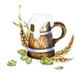 Composition of wooden beer mug, hop cones and wheat ears watercolor illustration isolated on white. Royalty Free Stock Photo