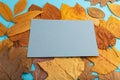 Composition with yellow and brown autumn leaves and blue paper mockup on blue pastel background. side view, copy space Royalty Free Stock Photo