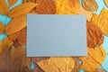 Composition with yellow and brown autumn leaves and blue paper mockup on blue pastel background. top view, copy space Royalty Free Stock Photo