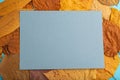 Composition with yellow and brown autumn leaves and blue paper mockup on blue pastel background. top view, copy space Royalty Free Stock Photo