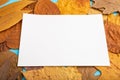 Composition with yellow and brown autumn leaves and white paper mockup on blue pastel background. side view, copy space Royalty Free Stock Photo