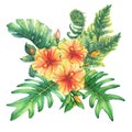 Composition with yellow-red hibiscus flowers and tropical plants.