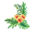 Composition with yellow-red hibiscus flowers and tropical plants.