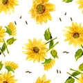 The Composition of Yellow Sunflower