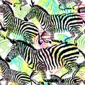 Composition zebra tropic animal in the jungle on colorful painting hand drawn background.