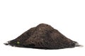 Compost Royalty Free Stock Photo