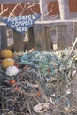 Compost