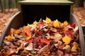 compost bin full of autumn leaves