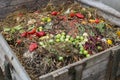Compost bin in the garden. Composting a bunch of rotting kitchen fruits and plant scraps