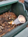 Compost bin with kitchen scraps container