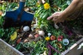 Compost box outdoors full with garden browns and greens and food wastes, blue shovel in the soil, woman hand keeps basket with we