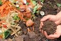 Compost with composted earth Royalty Free Stock Photo