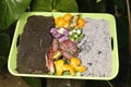 Compost and composted soil cycle as a composting pile of rotting kitchen scraps with fruits and vegetable garbage waste turning Royalty Free Stock Photo