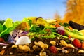 Compost heap of rotting kitchen vegetables with living earthworms Royalty Free Stock Photo