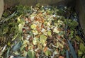 Compost heap