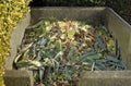 Compost heap Royalty Free Stock Photo