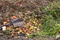 Compost heap with grass and apples Royalty Free Stock Photo