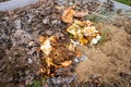 Compost heap after winter close-up.Organic waste to be converted into vegetable garden humus. Dry grass last year\'s foliage
