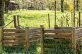 Compost heaps with fertile soil in the green garden