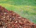 Compost leaves