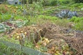 Compost Pile Royalty Free Stock Photo