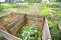 Compost Pile