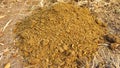 A compost pile made from cow manure a fertilizer for planting in the garden