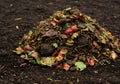 Compost Pile with Vegetable Scraps and Organic Waste Royalty Free Stock Photo