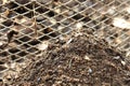 Freshly sifted compost soil to fertilize the garden Royalty Free Stock Photo