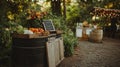 Compost station with cute sign at eco-conscious wedding . Royalty Free Stock Photo