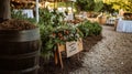 Compost station with cute sign at eco-conscious wedding . Royalty Free Stock Photo