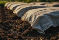 Compost windrows covered with breathable fabric for optimal decomposition Royalty Free Stock Photo