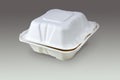 Compostable take out box (with clipping path) Royalty Free Stock Photo